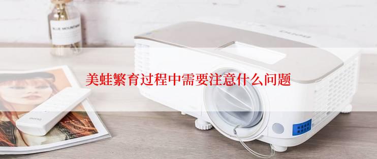 美蛙繁育过程中需要注意什么问题