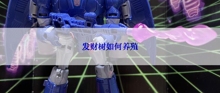 发财树如何养殖