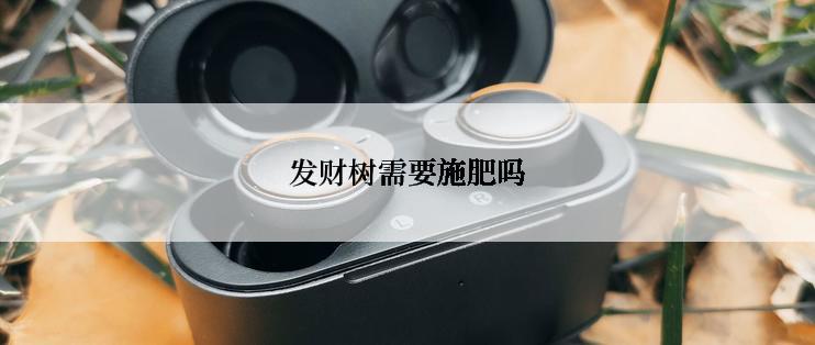 发财树需要施肥吗