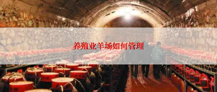 养殖业羊场如何管理