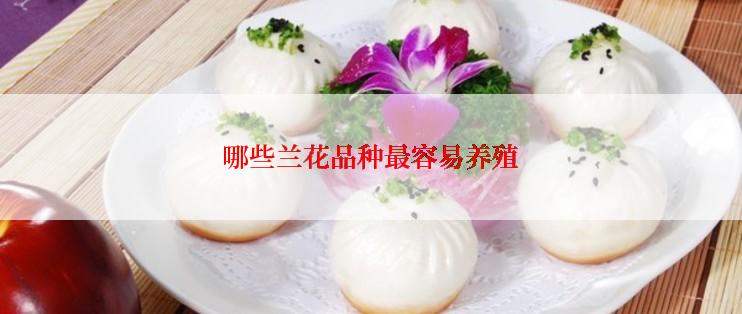 哪些兰花品种最容易养殖