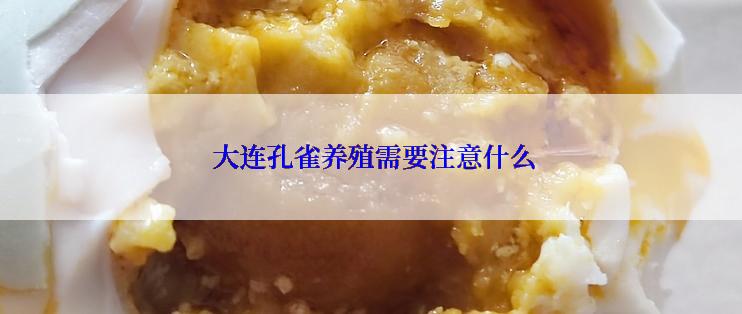 大连孔雀养殖需要注意什么