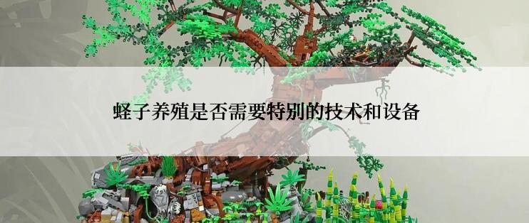  蛏子养殖是否需要特别的技术和设备