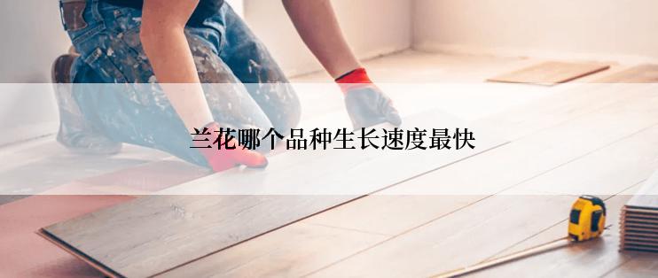  兰花哪个品种生长速度最快