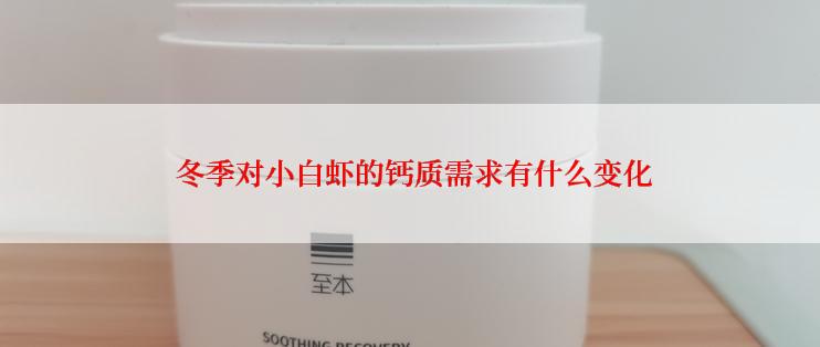  冬季对小白虾的钙质需求有什么变化