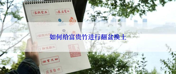 如何给富贵竹进行翻盆换土