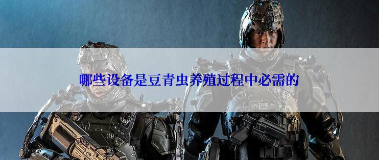 哪些设备是豆青虫养殖过程中必需的