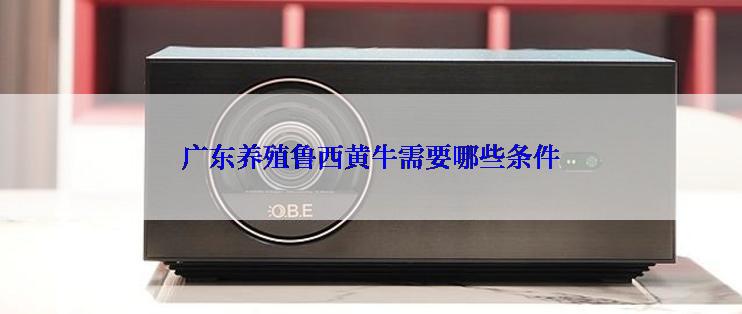 广东养殖鲁西黄牛需要哪些条件