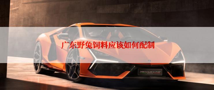 广东野兔饲料应该如何配制