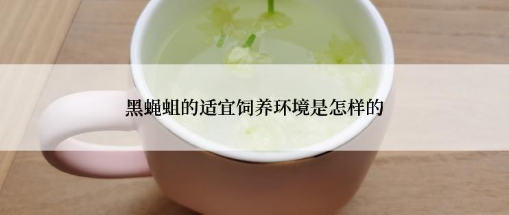 黑蝇蛆的适宜饲养环境是怎样的