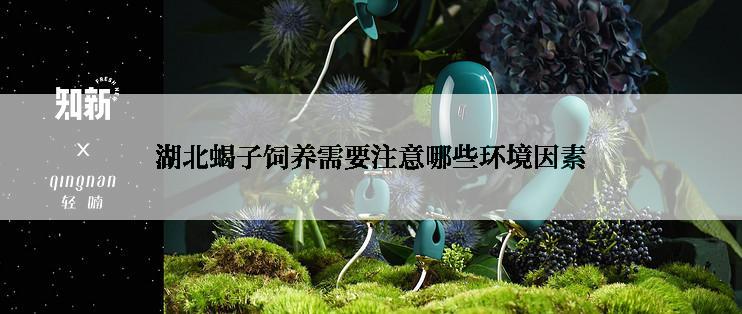 湖北蝎子饲养需要注意哪些环境因素