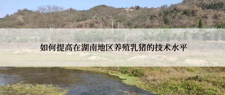  如何提高在湖南地区养殖乳猪的技术水平