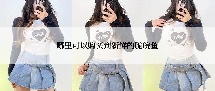 哪里可以购买到新鲜的脆皖鱼