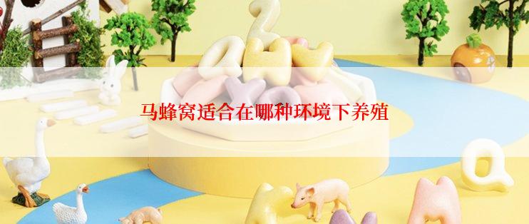 马蜂窝适合在哪种环境下养殖