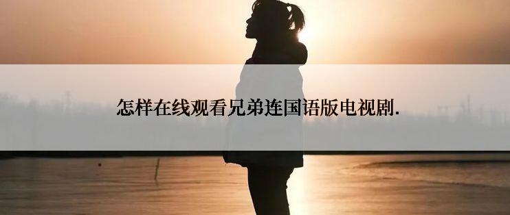  怎样在线观看兄弟连国语版电视剧.