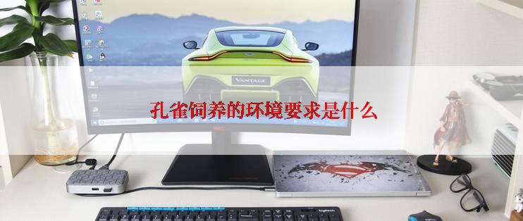  孔雀饲养的环境要求是什么