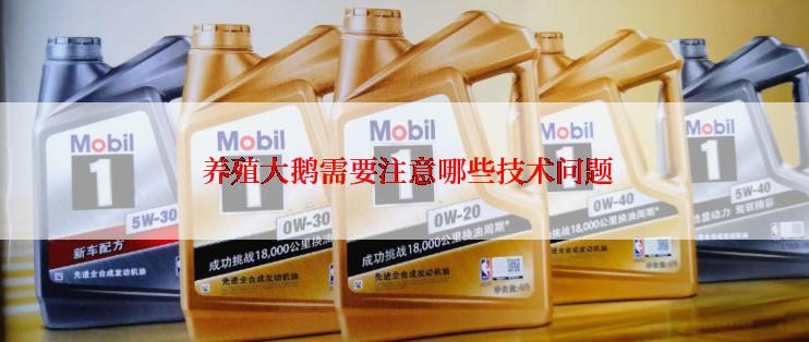  养殖大鹅需要注意哪些技术问题