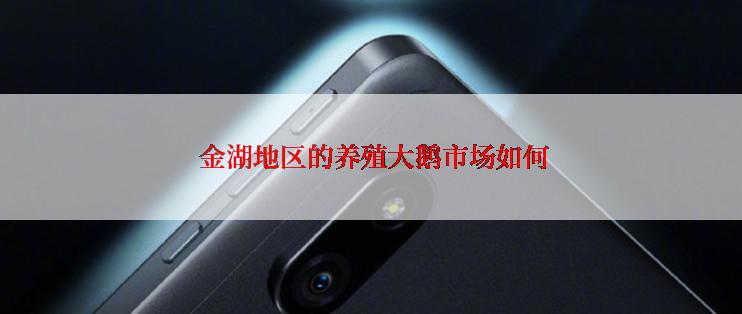  金湖地区的养殖大鹅市场如何