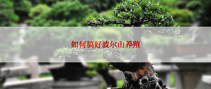 如何搞好波尔山养殖