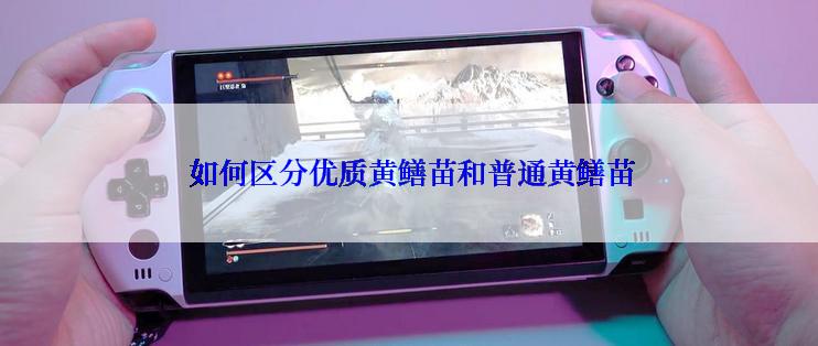  如何区分优质黄鳝苗和普通黄鳝苗