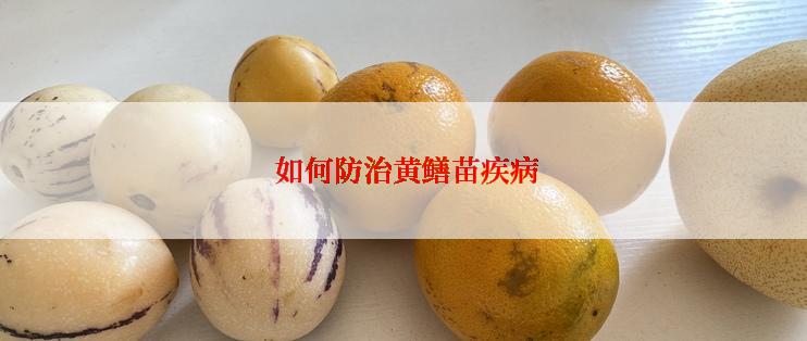  如何防治黄鳝苗疾病