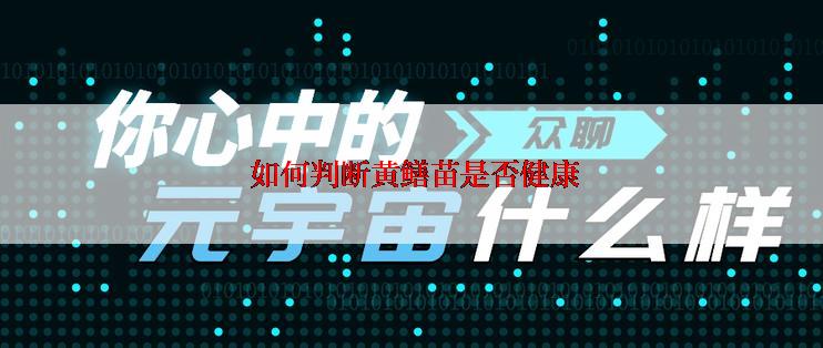  如何判断黄鳝苗是否健康