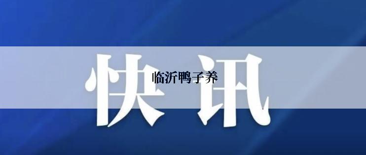  临沂鸭子养
