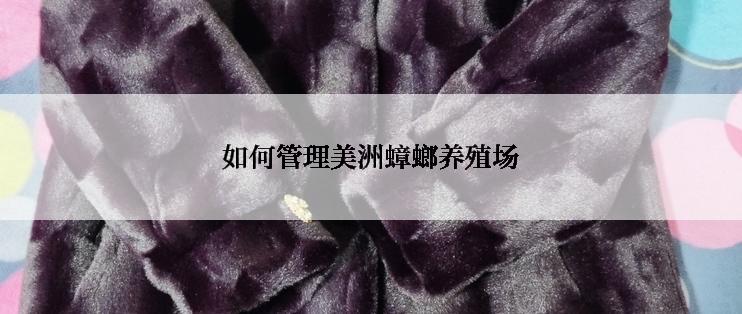 如何管理美洲蟑螂养殖场