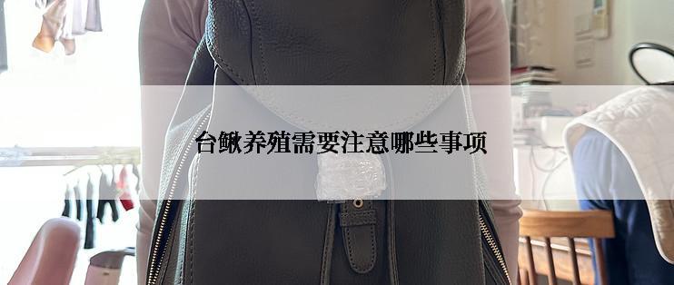  台鳅养殖需要注意哪些事项