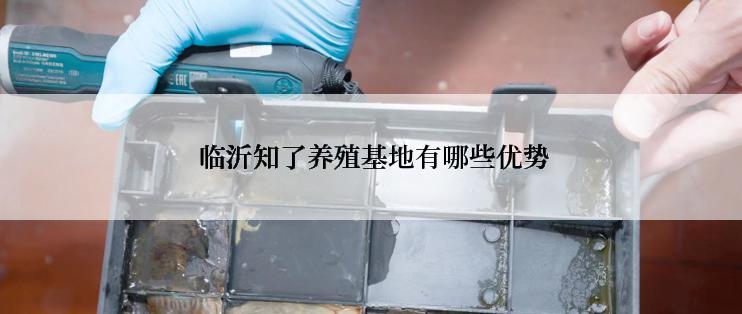  临沂知了养殖基地有哪些优势