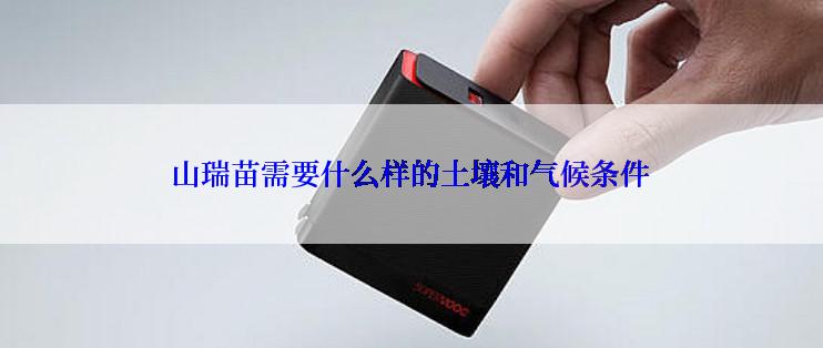 山瑞苗需要什么样的土壤和气候条件