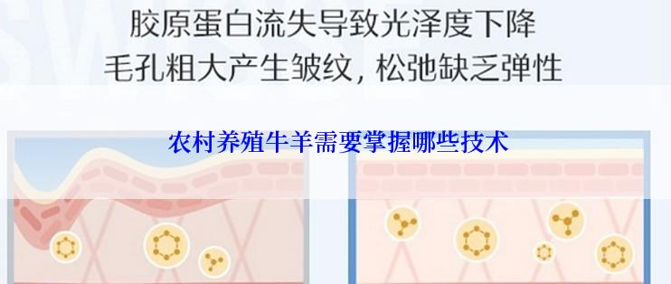  农村养殖牛羊需要掌握哪些技术