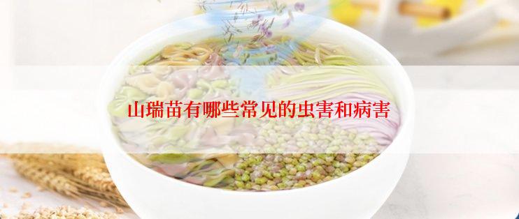 山瑞苗有哪些常见的虫害和病害