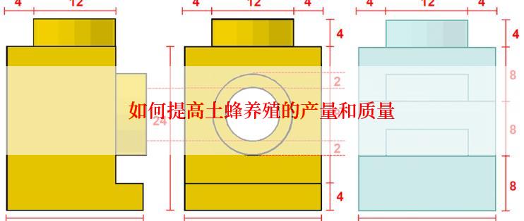 如何提高土蜂养殖的产量和质量