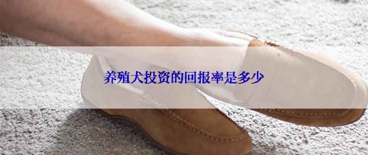 养殖犬投资的回报率是多少