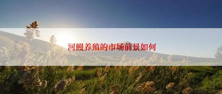  河鳗养殖的市场前景如何