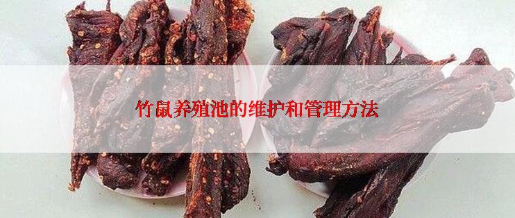 竹鼠养殖池的维护和管理方法