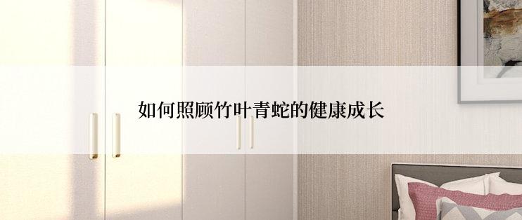 如何照顾竹叶青蛇的健康成长