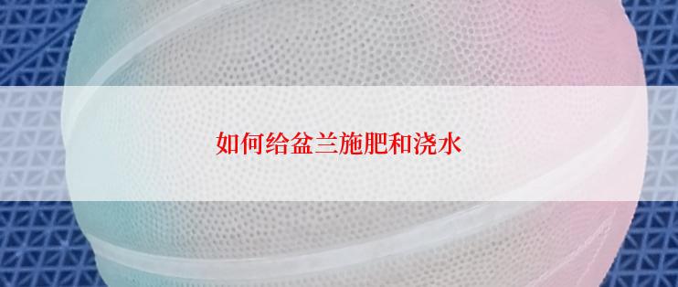 如何给盆兰施肥和浇水