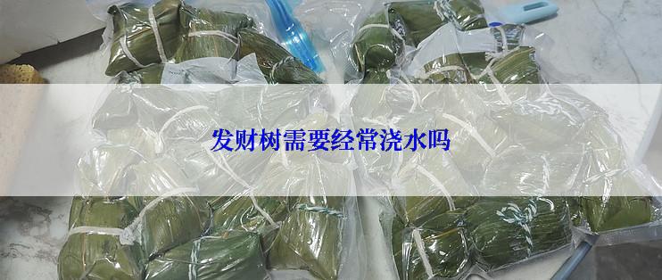 发财树需要经常浇水吗