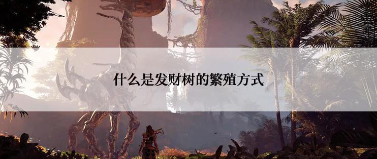 什么是发财树的繁殖方式