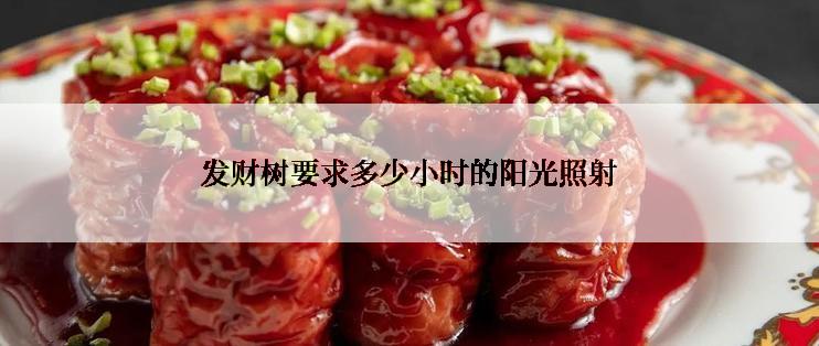 发财树要求多少小时的阳光照射