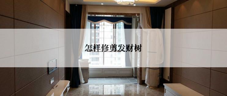 怎样修剪发财树