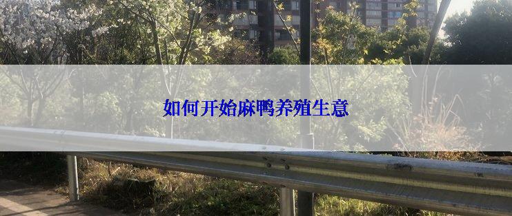 如何开始麻鸭养殖生意