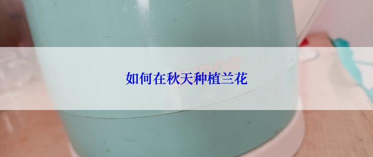 如何在秋天种植兰花