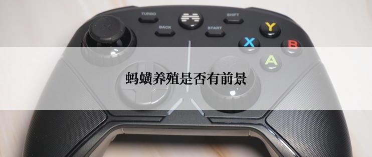 蚂蟥养殖是否有前景