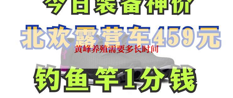 黄峰养殖需要多长时间