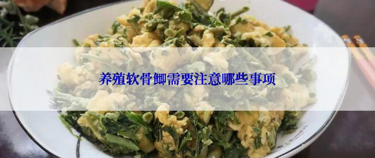 养殖软骨鲫需要注意哪些事项
