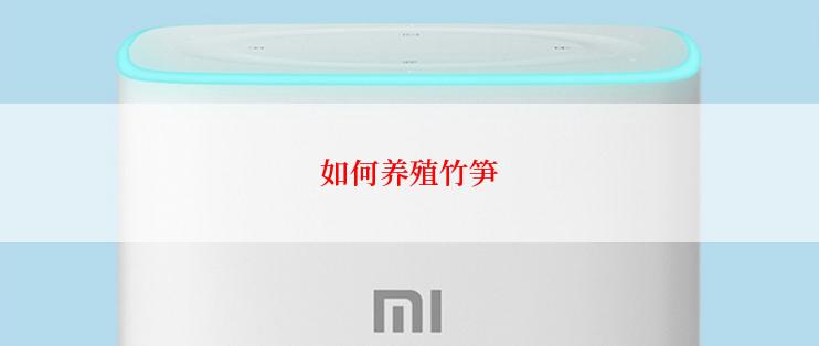 如何养殖竹笋