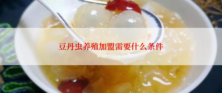 豆丹虫养殖加盟需要什么条件